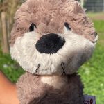 WhatsApp Image 2025-09-19 at 19.35.05-2