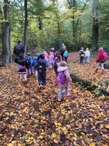 IMG_20251021_103517_MEDIUM