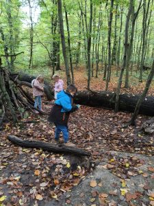 IMG_20251021_114601_MEDIUM