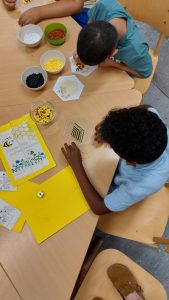 WhatsApp Image 2026-07-09 at 17.13.47
